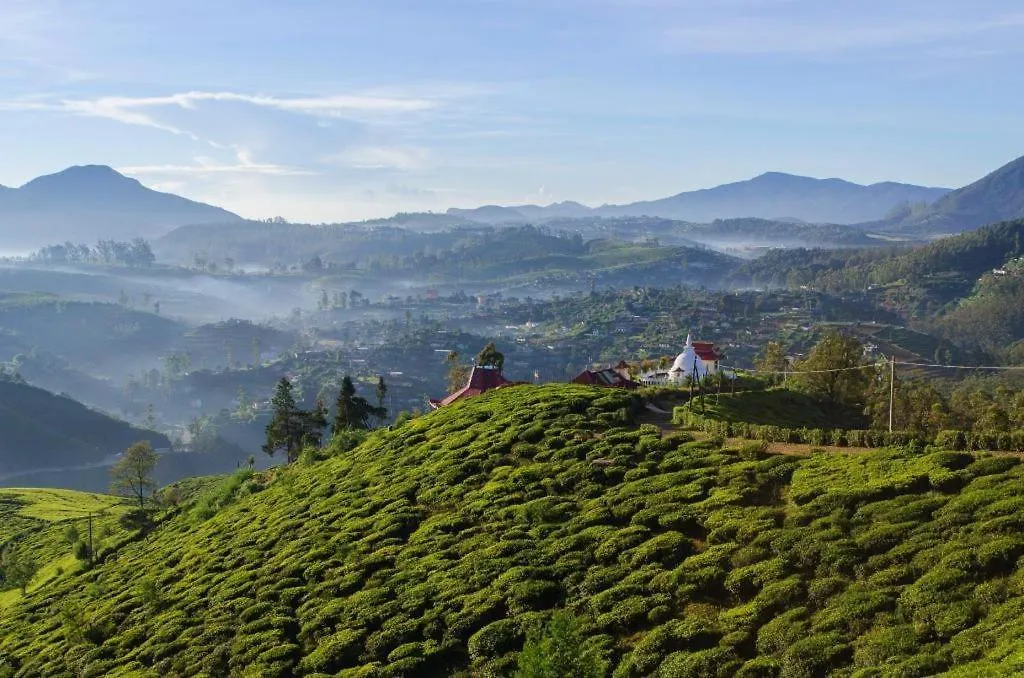 Alpine Hotel Nuwara Eliya 3*,